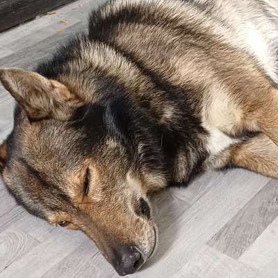 Freddys Kummerkasten-Beitrag-Bild