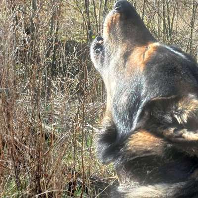 Freddys Kummerkasten-Beitrag-Bild