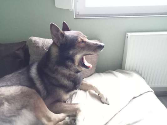 Freddys Kummerkasten-Beitrag-Bild