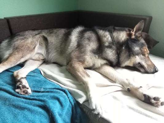 Freddys Kummerkasten-Beitrag-Bild