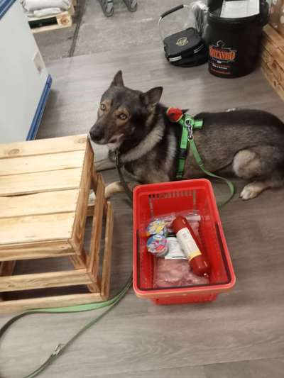 Freddys Kummerkasten-Beitrag-Bild