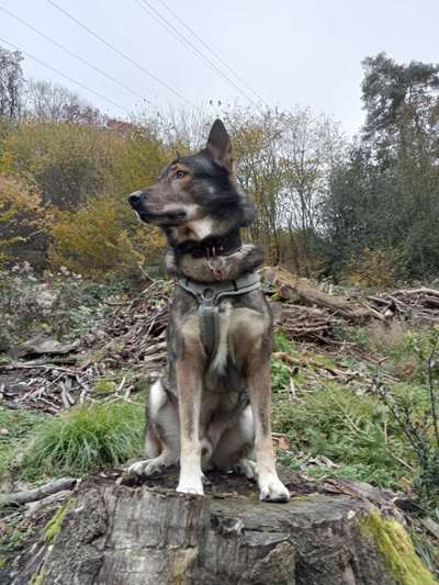 Welche Sätze hört ihr oft?-Beitrag-Bild