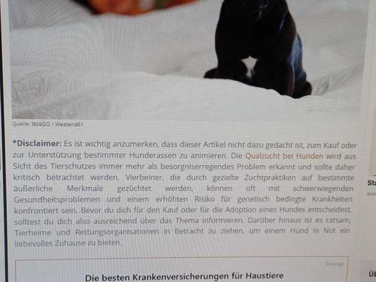 Qualzucht - Warum Aufklärung alleine nicht reicht-Beitrag-Bild