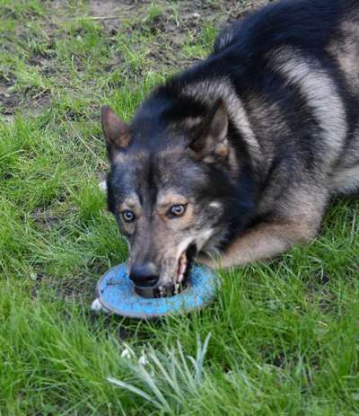 Freddys Kummerkasten-Beitrag-Bild