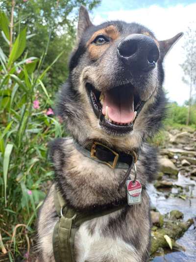 Freddys Kummerkasten-Beitrag-Bild