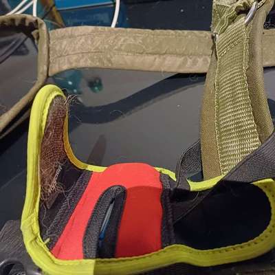 Halsband für Tracker-Beitrag-Bild