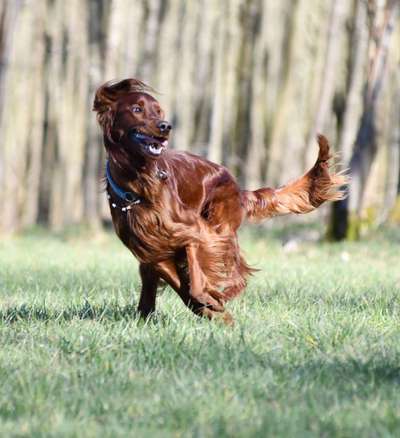 Austausch zur Fotografie-Beitrag-Bild