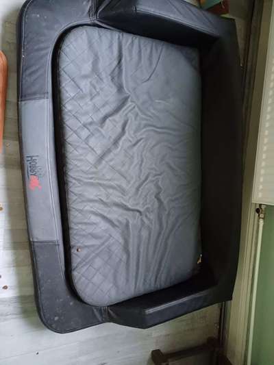 Hundebett-Beitrag-Bild