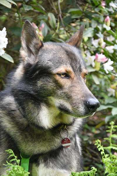 Freddys Kummerkasten-Beitrag-Bild