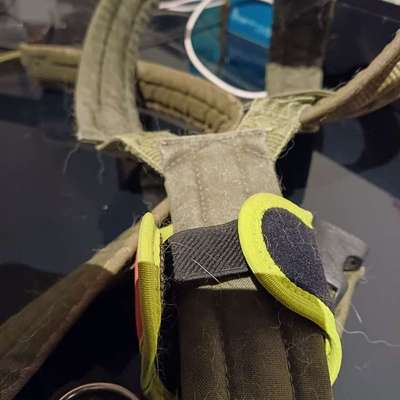 Halsband für Tracker-Beitrag-Bild