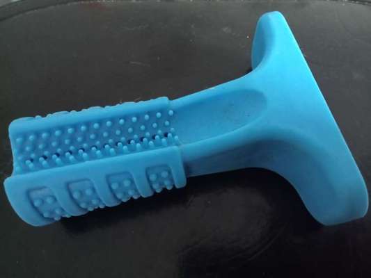 Kauwurzel gefährlich?-Beitrag-Bild