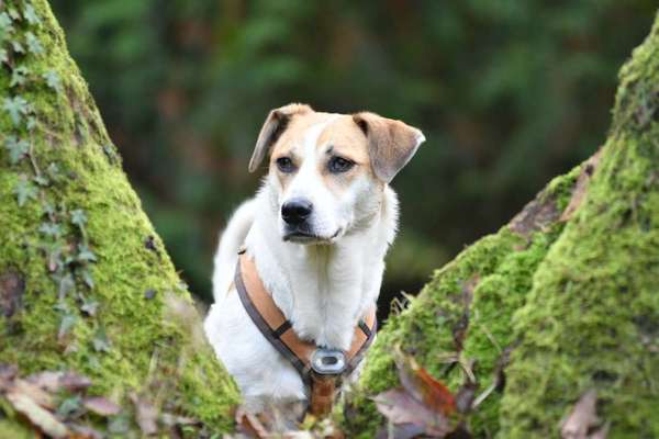 Austausch zur Fotografie-Beitrag-Bild