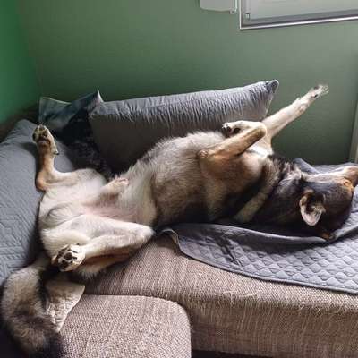 Freddys Kummerkasten-Beitrag-Bild