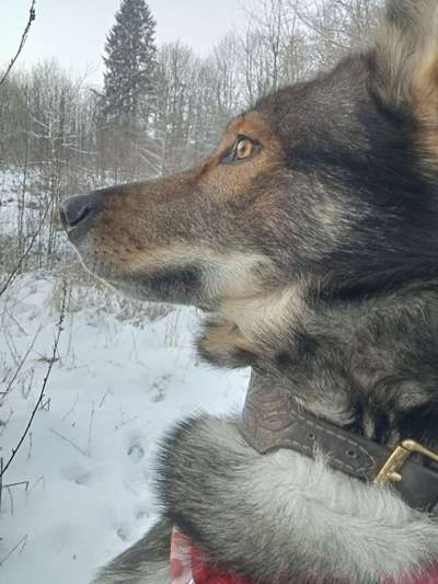 Freddys Kummerkasten-Beitrag-Bild