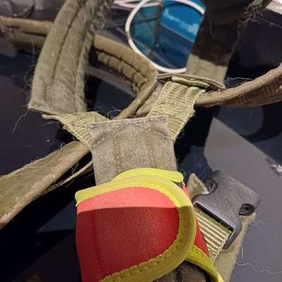 Halsband für Tracker-Beitrag-Bild