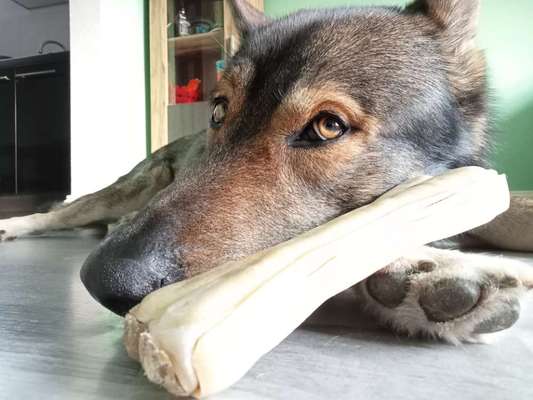 Freddys Kummerkasten-Beitrag-Bild