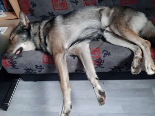 CHALLENGE NR. 34 - Liege-/Schlafpositionen-Beitrag-Bild