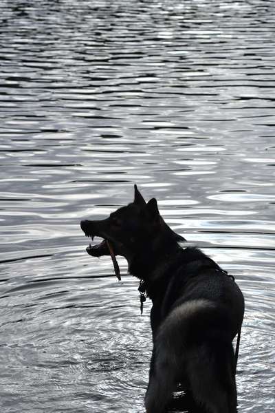 Austausch zur Fotografie-Beitrag-Bild