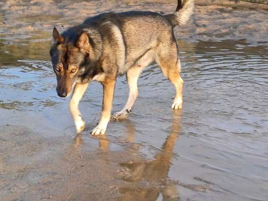 Freddys Kummerkasten-Beitrag-Bild