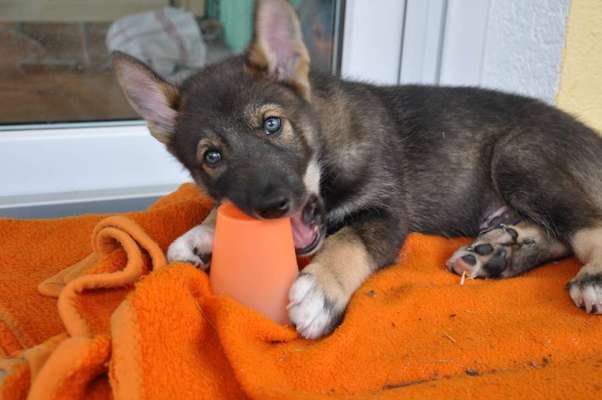 Foto Challenge 3-Beitrag-Bild