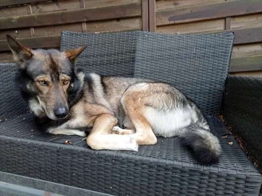 Freddys Kummerkasten-Beitrag-Bild