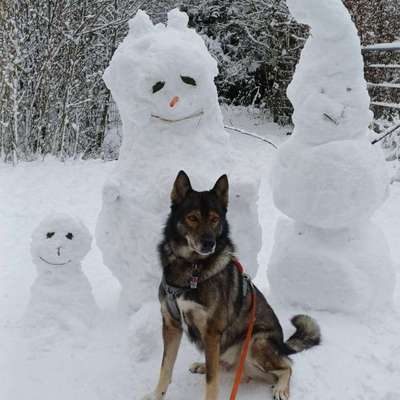 Bellen bei Begegnungen-Beitrag-Bild