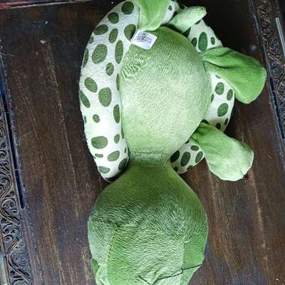 Freddys Kummerkasten-Beitrag-Bild