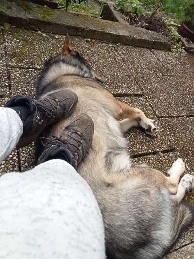 Freddys Kummerkasten-Beitrag-Bild