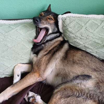 Freddys Kummerkasten-Beitrag-Bild