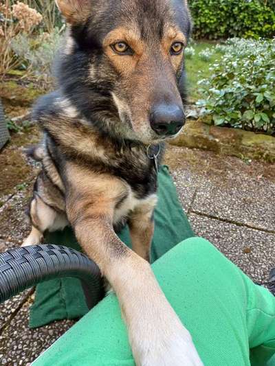 Freddys Kummerkasten-Beitrag-Bild