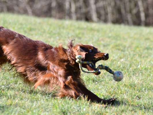 Cora und Amy beim spielen .-Beitrag-Bild