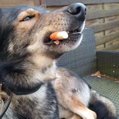 Freddys Kummerkasten-Beitrag-Bild