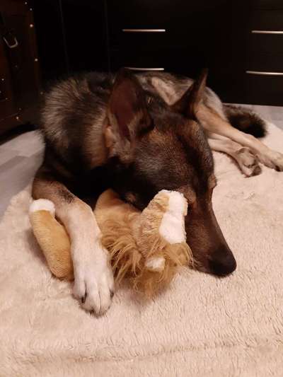 Verrückte Schlafpositionen-Beitrag-Bild