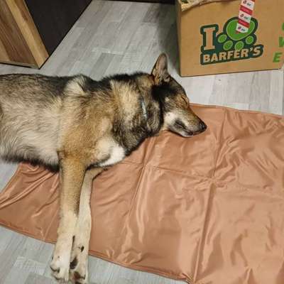 Freddys Kummerkasten-Beitrag-Bild
