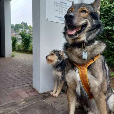 Freddys Kummerkasten-Beitrag-Bild