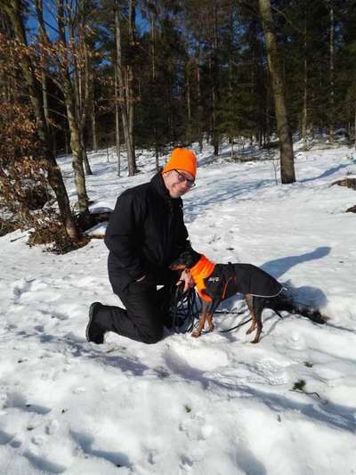 Die Ähnlichkeit zum Hund-Beitrag-Bild