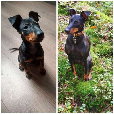 Vorher.... Nachher-Beitrag-Bild