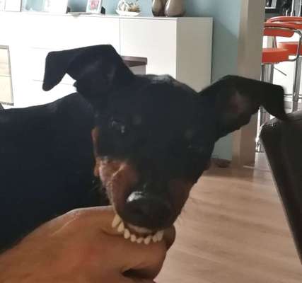 Lieblings Schnappschuss?-Beitrag-Bild