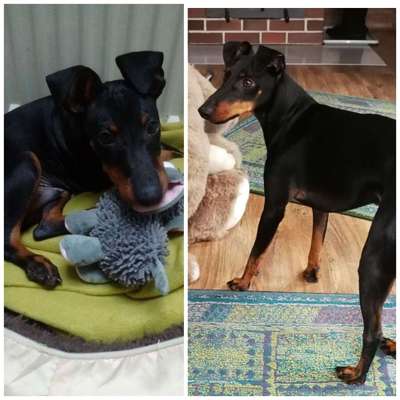 Vorher.... Nachher-Beitrag-Bild