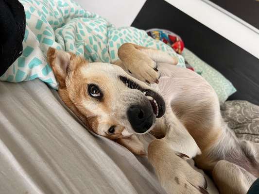 Fotochallenge Nr.122-Beitrag-Bild