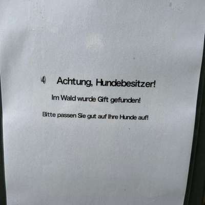 Giftköder-Giftköder bei Amriswil-Bild