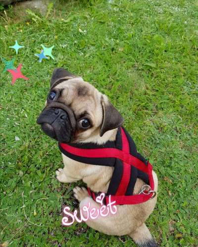 Ach, wie schnell die Zeit vergeht-Beitrag-Bild