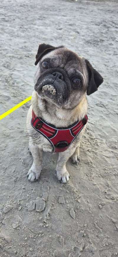 Ach, wie schnell die Zeit vergeht-Beitrag-Bild