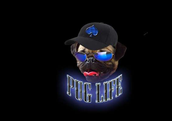 Photoshop und Co.-Beitrag-Bild