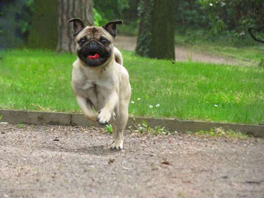 Fotochallenge Nr. 67: Euer Lieblingsbild-Beitrag-Bild