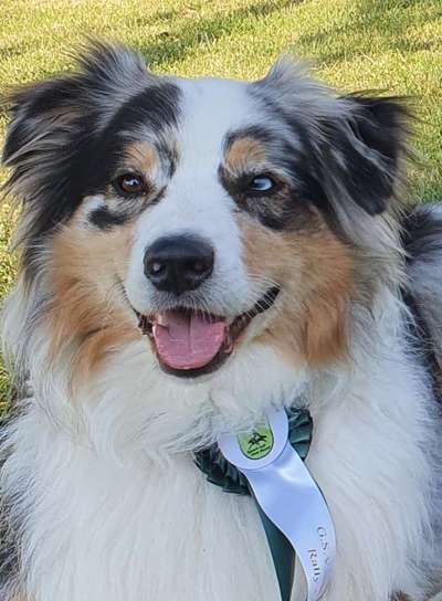 Fotochallange Nr. 57     PORTRÄT.   Beendet!!!!!!!!-Beitrag-Bild