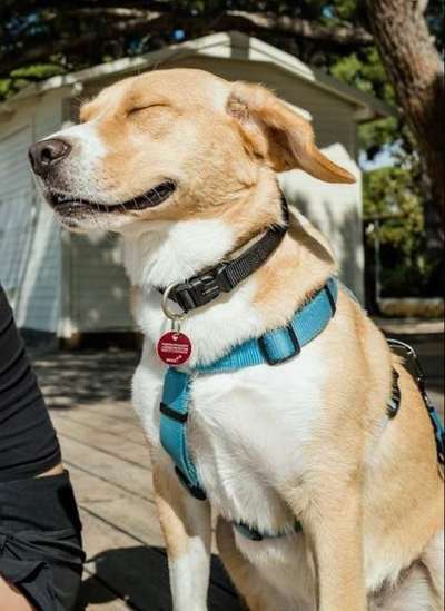 Fotochallenge Nr.105  Glücksmomente-Beitrag-Bild