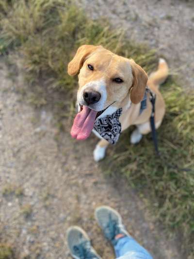 Handyfoto challenge Nr. 13: Waschlappen raus!-Beitrag-Bild