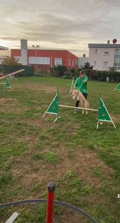 Fotochallenge 108: Starkes Team-Beitrag-Bild