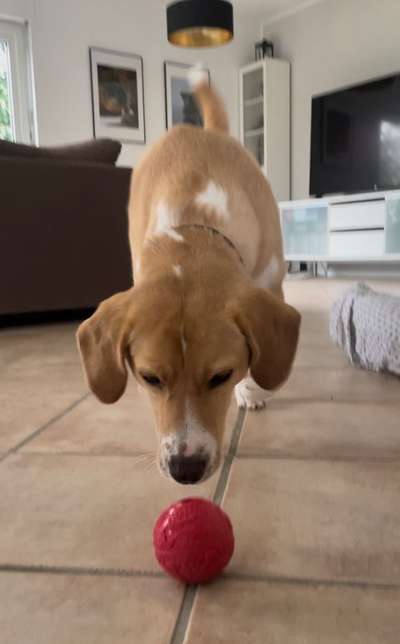 15. Handyfoto Challenge - Indoor Aktivitäten-Beitrag-Bild